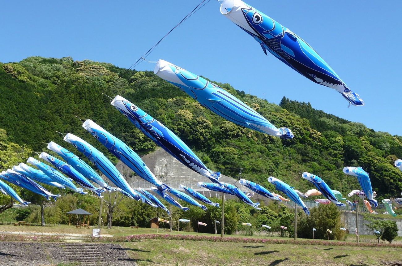 カツオと鯉のぼりの川渡し | 黒潮町観光公式サイト