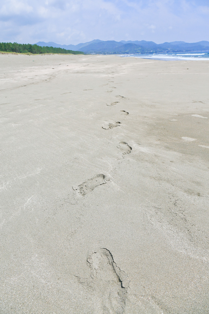 黒潮町ってこんなところ 黒潮町観光公式サイト