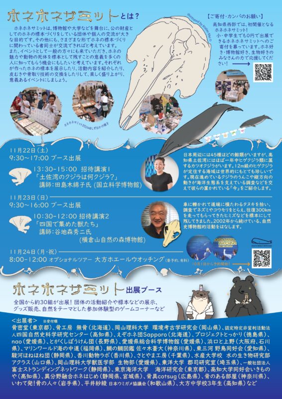 チラシ裏面