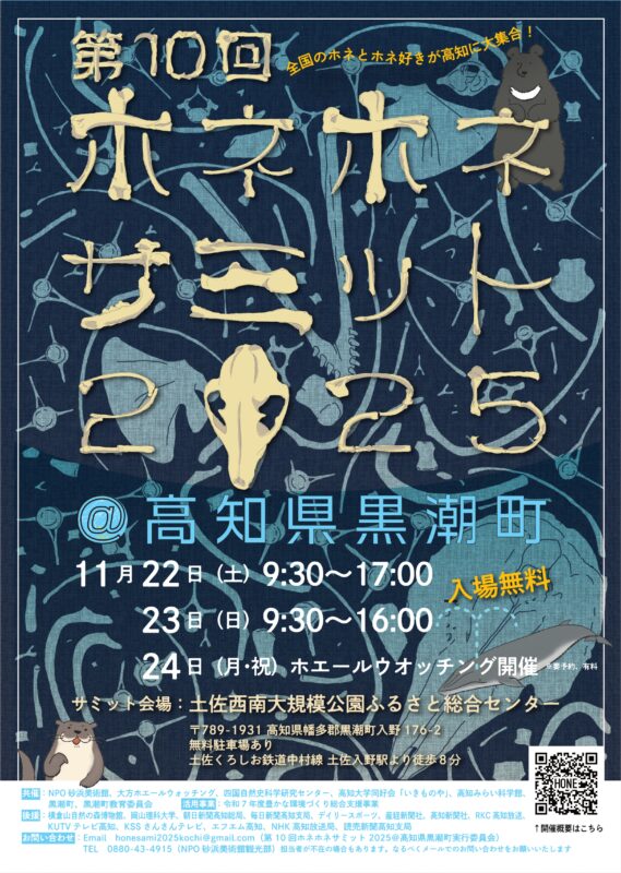 チラシ表面